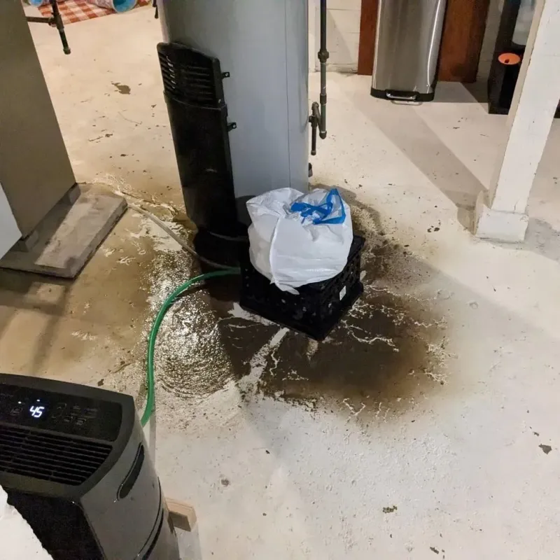 Sewage Backup Cleanup Service in Lake Village, AR